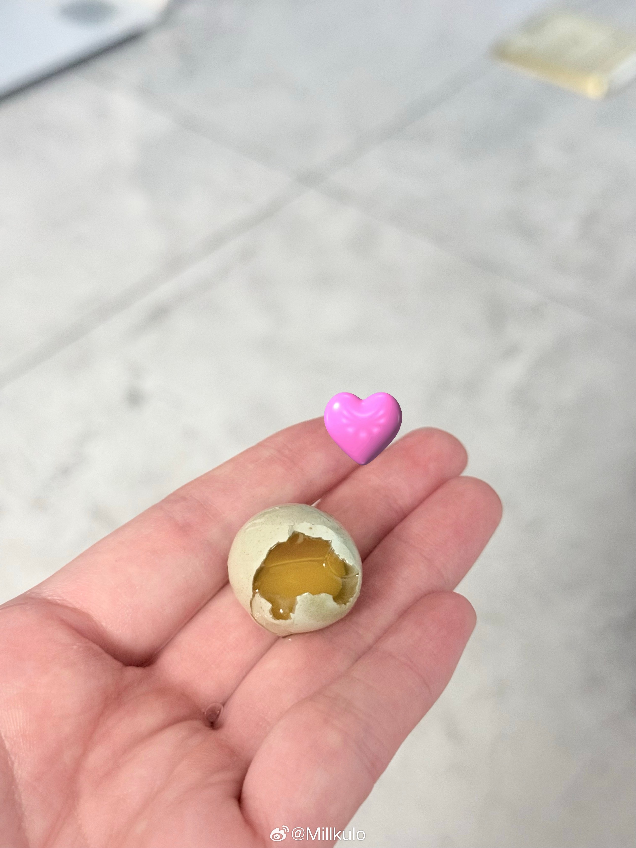 我乖乖可爱的小鸡们！来家里第二天孵鸡蛋了！🐣激动！ 