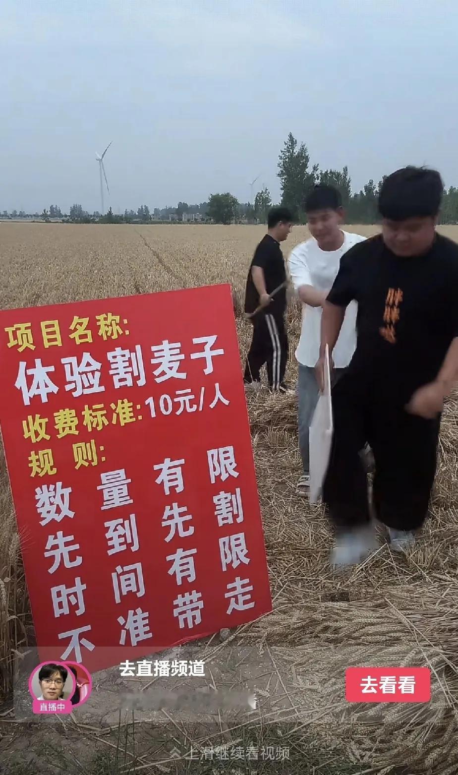 现在为了赚钱，真的是什么人都想得出来，直播发财路子呀。

你看就这个直播收割麦子