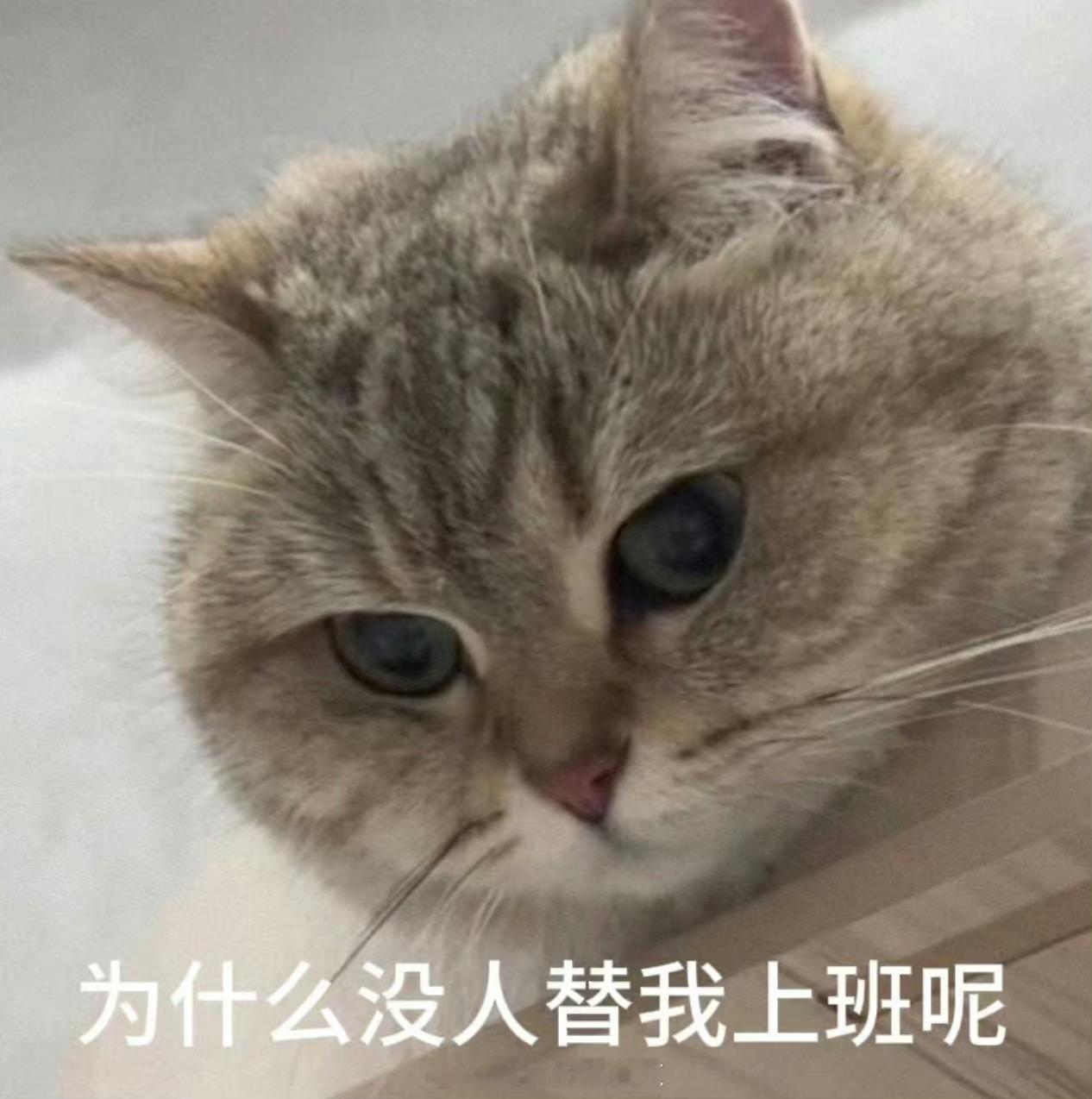 #推文[超话]# 一月一度的言情搭楼求文专场，大家评论区留下自己想看的类型文，或