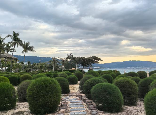 日本的苦日子，还在后面。现在日本属实是有点搞不清状况。因为本质上来说，当前的国际