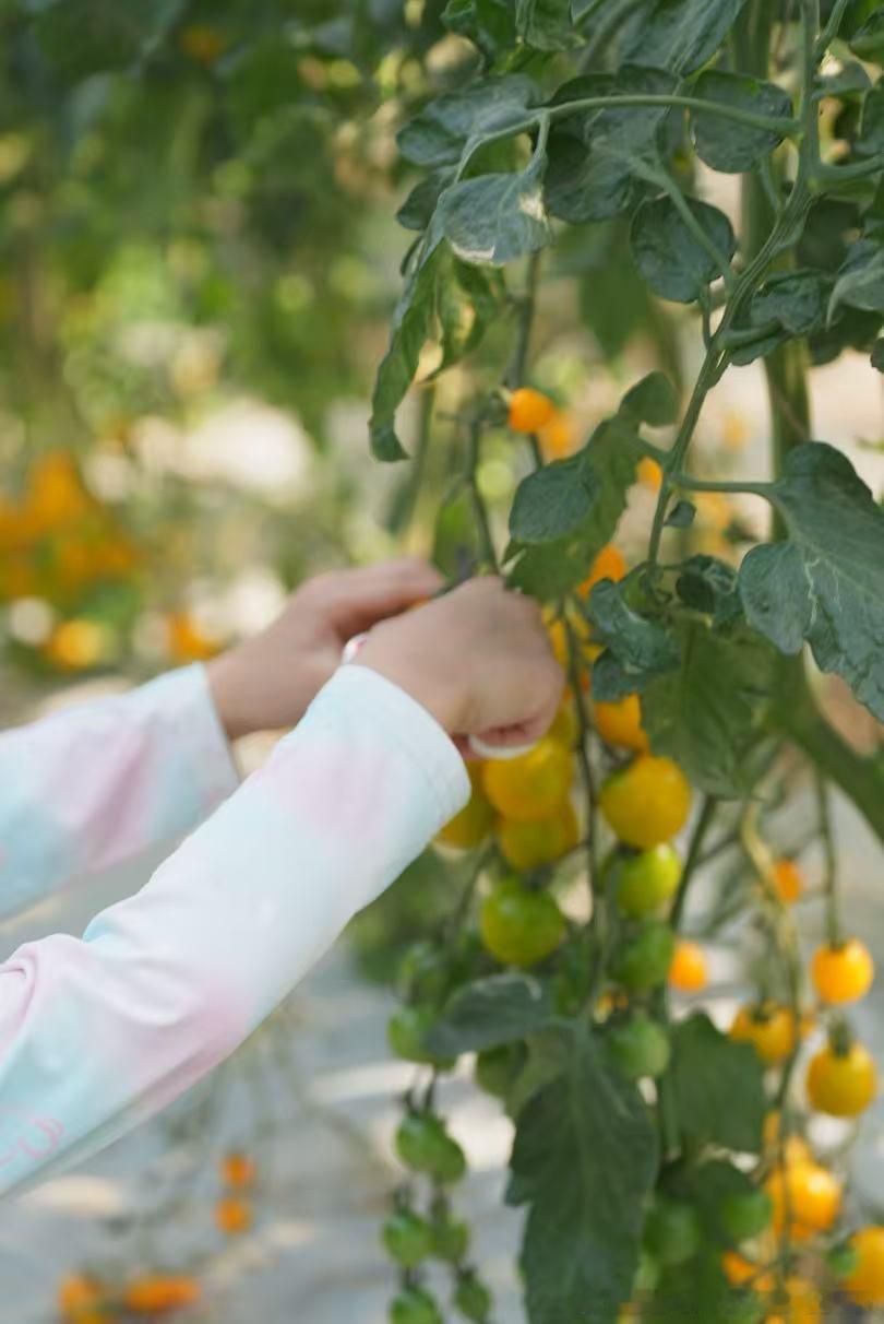 翻遍十年“旧账”（谣言）无非就是想掩盖一件事：趁人之危，想要白嫖别人十年青训。规