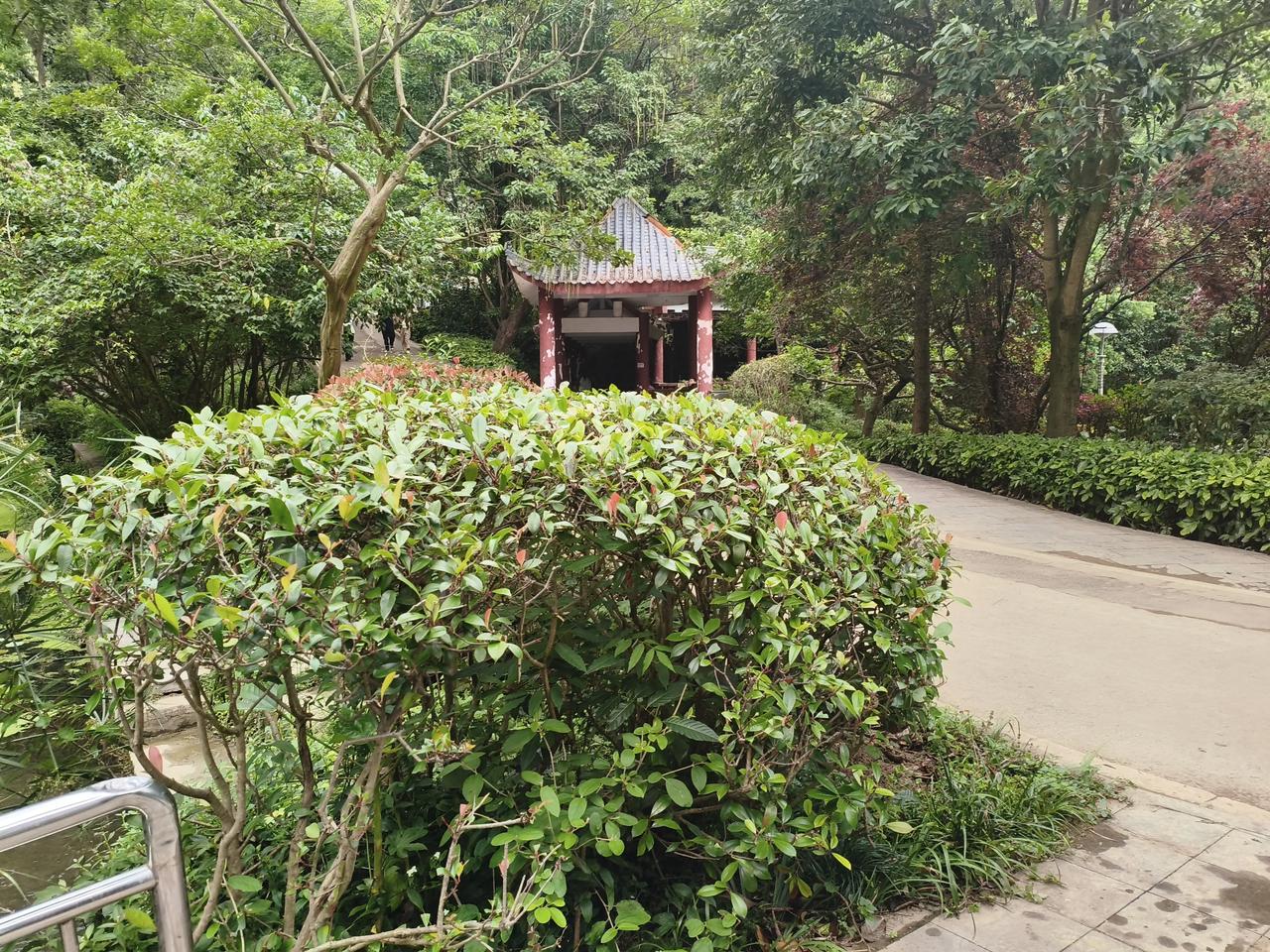 特朗普真是投䧏？
        特朗普对伊投降这说法有点夸张了。特朗普执政时，