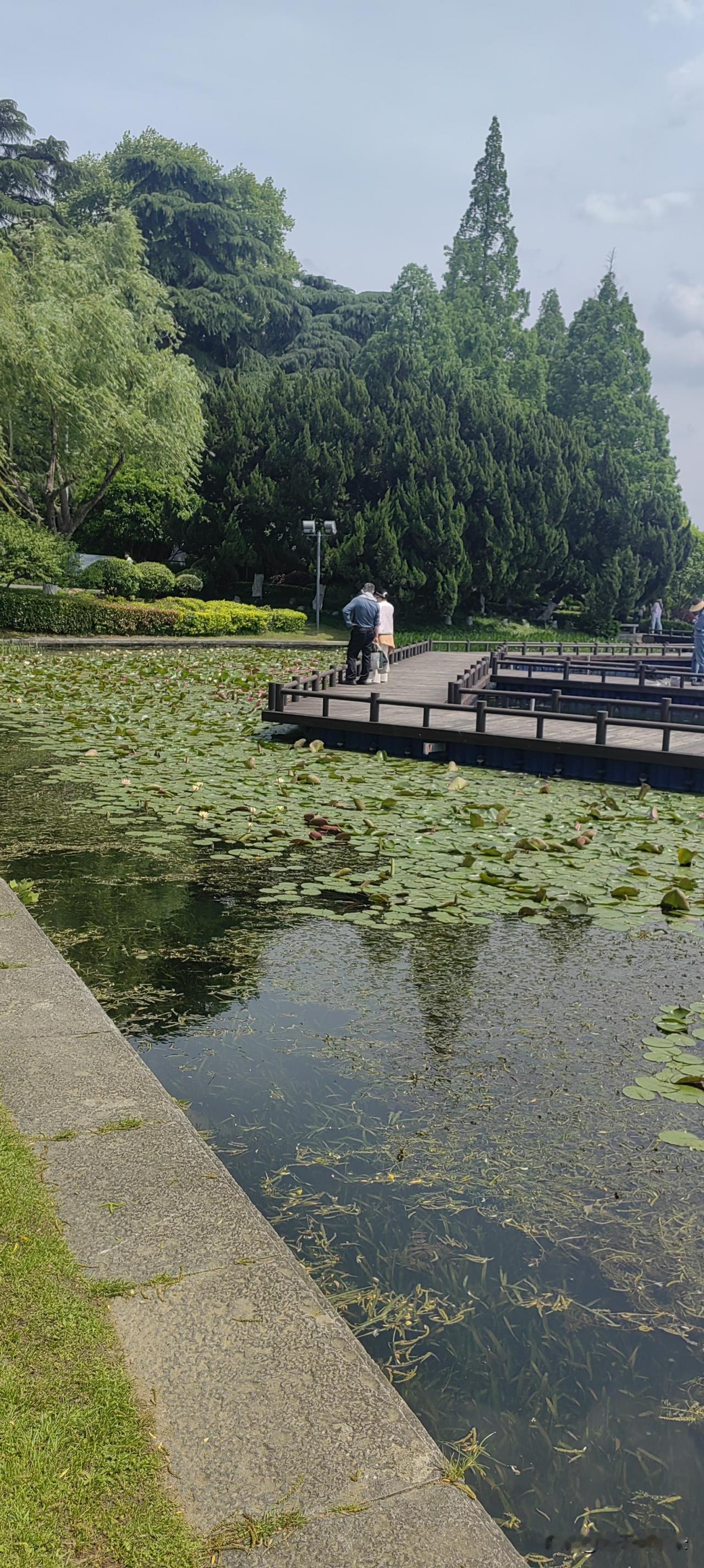 《你并不重要》

你，
其实，不存在
不要
以为
自己很重要
如果
你，能体验一
