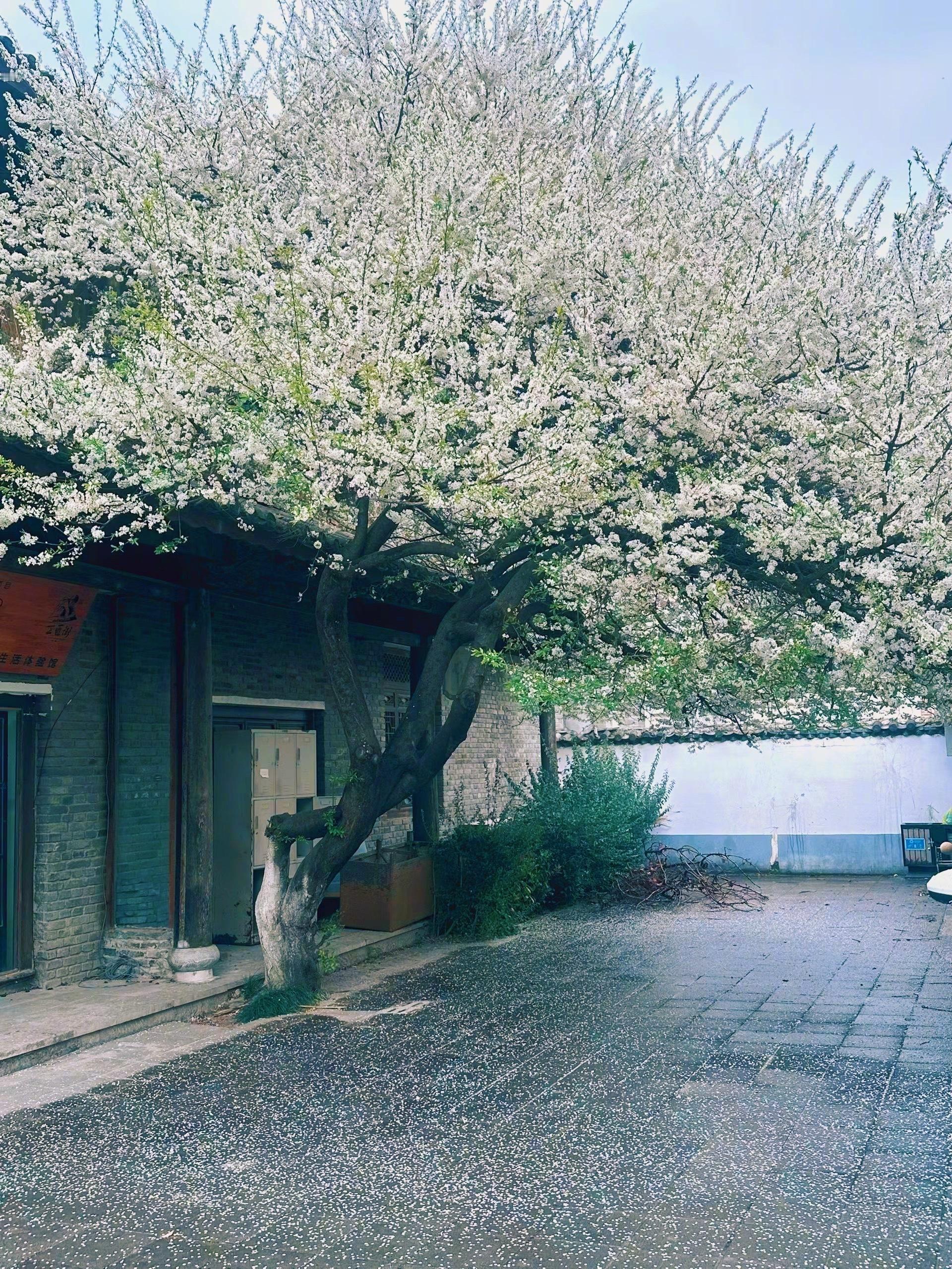 对待自己，任何时候都需要坦诚相待，特别是针对那种在某些情况下不喜欢的自己，既不逃