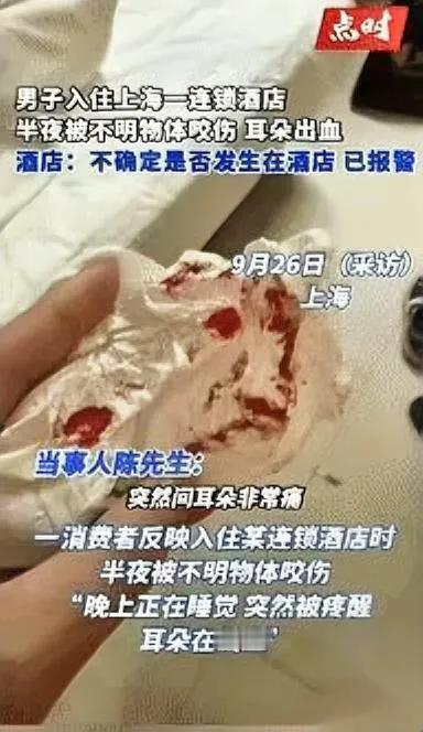 酒店睡觉被咬出血？

上海一男子深夜遇惊魂一幕！睡着时耳朵突然被不明物咬出血，医