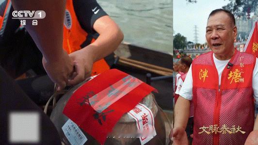 龙舟竟然也要走亲戚广东有只龙舟590多岁590岁盐步老龙，400载端午之约。岁岁