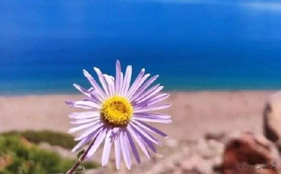 婚姻的本质是两个人的事，但必然牵扯两个家庭——就像双人舞，主角是夫妻，双方家庭是