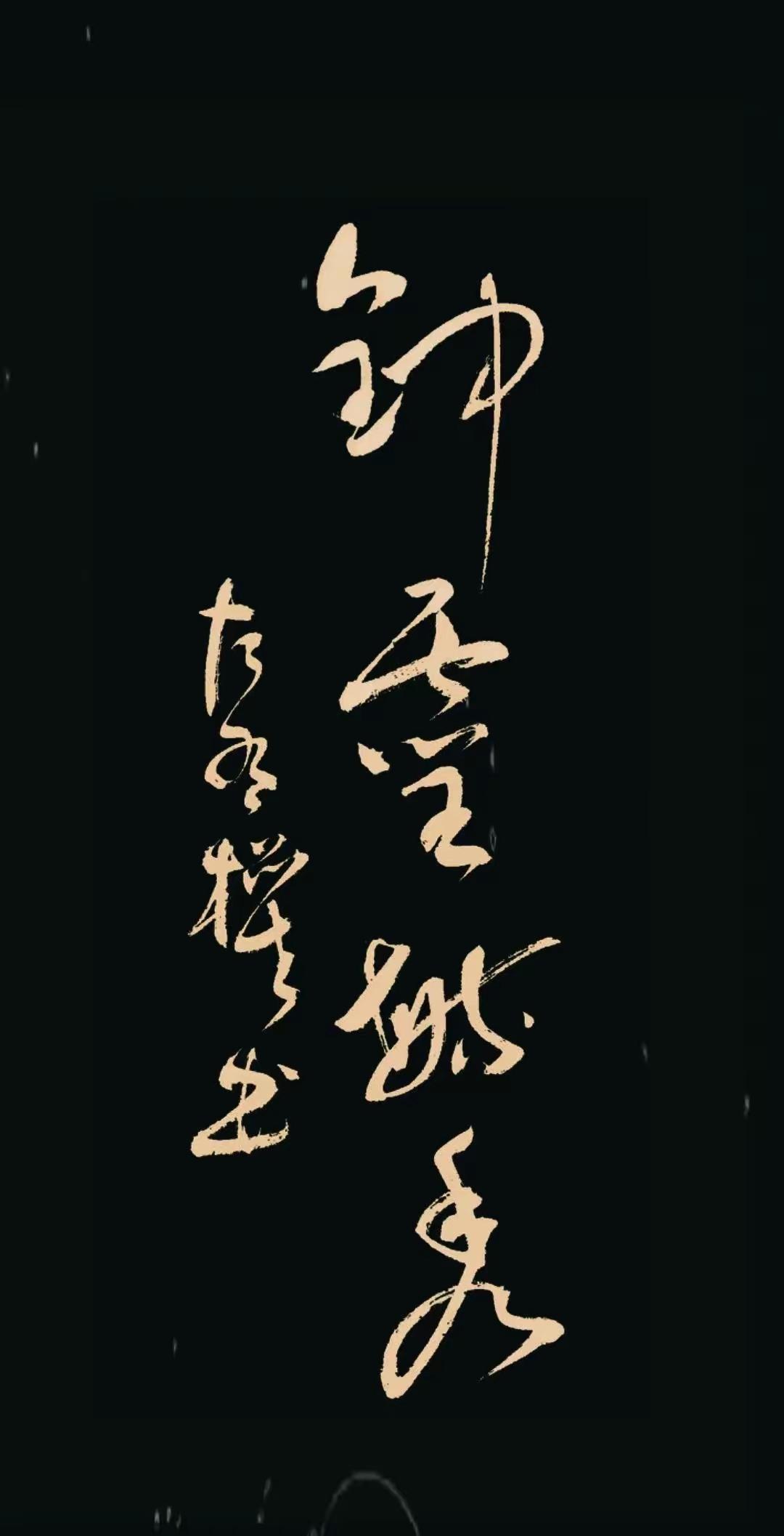 这草书漂亮吗？我挺喜欢的，写得确实扎实，水平堪称高水平。但是本人学识粗浅，认不出