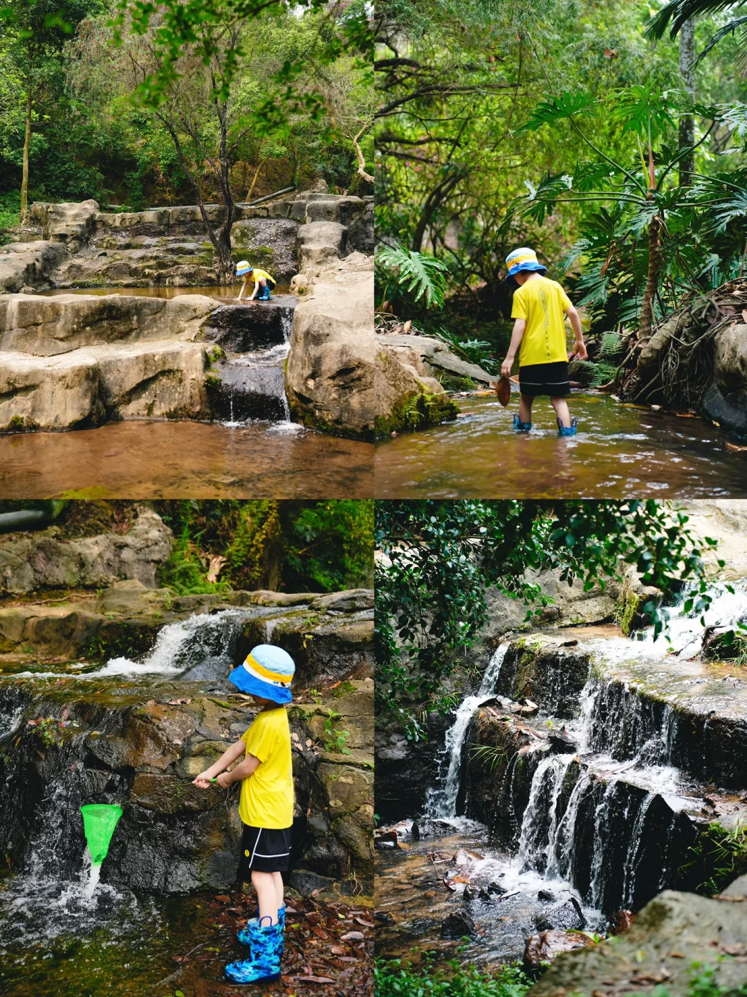 藏不住❗️惠州市区20分钟溯溪玩水遛娃宝藏地