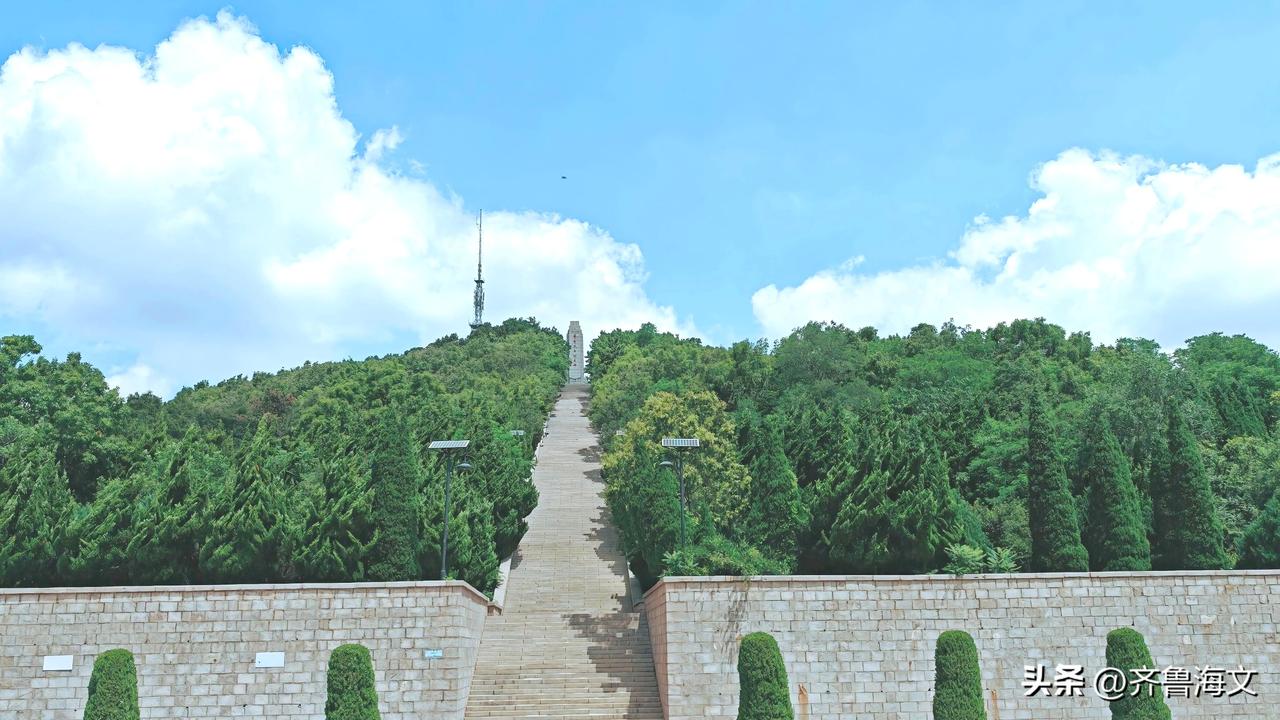 漫步峰山森林公园，随手拍下的美景。