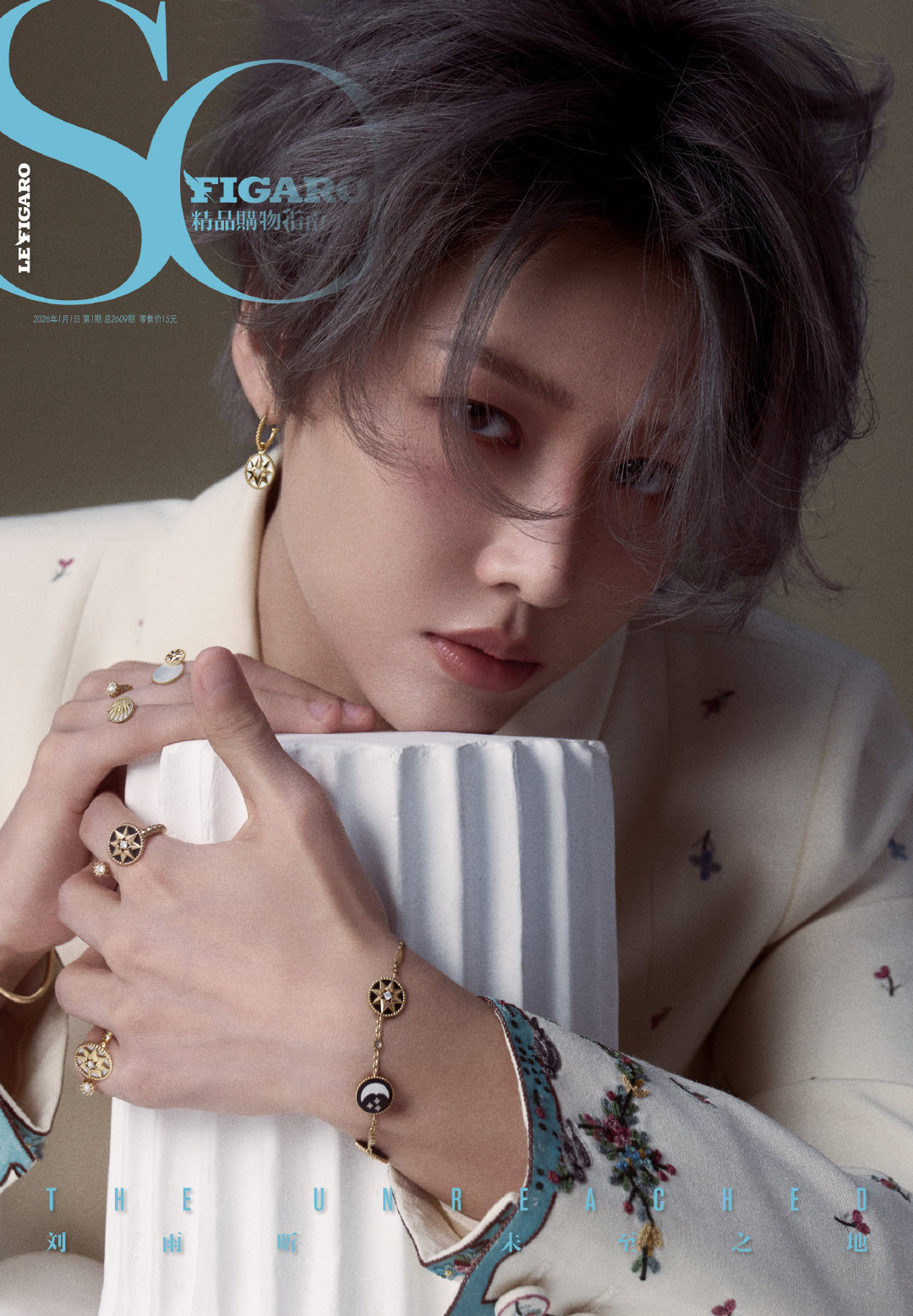 刘雨昕 x So Figaro January 2026开年刊封面，身穿 Dio