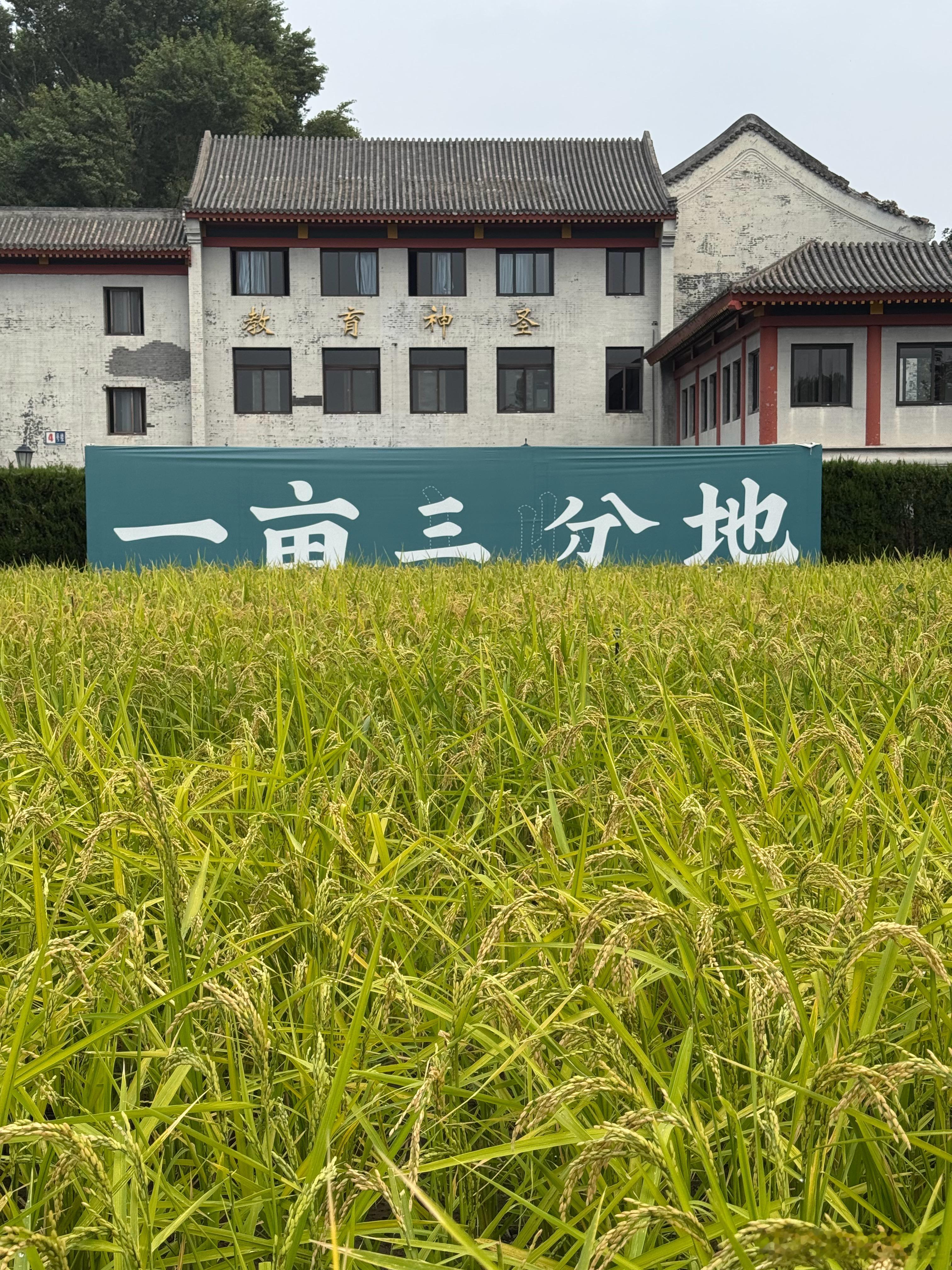 国庆期间果然人多。不过相比于天坛，这里还是清净多了 ​​​