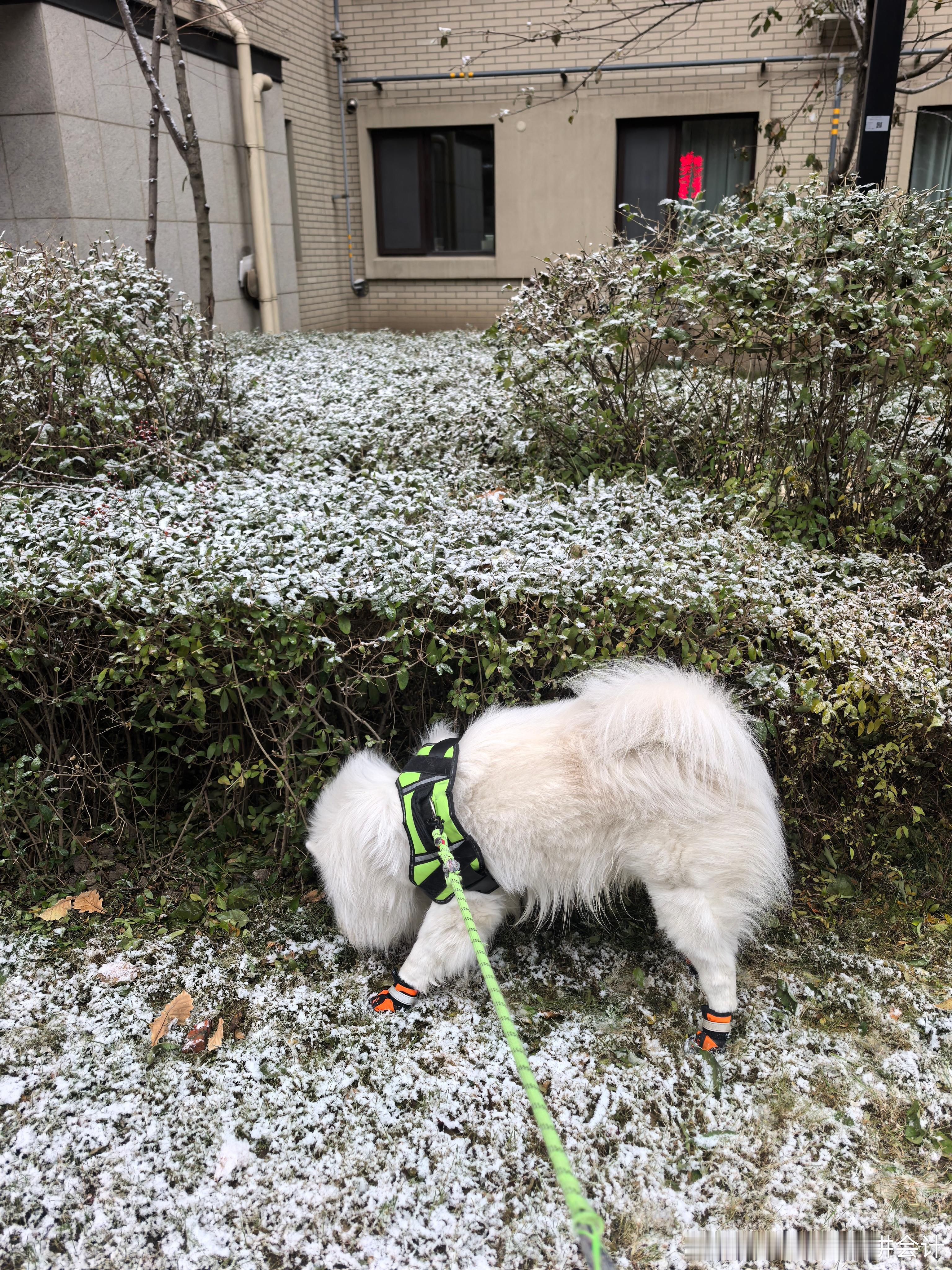 今年的第一场雪，就是小了点。瑞雪兆丰年，这场雪预示着今天上午《财务与会计》科目的