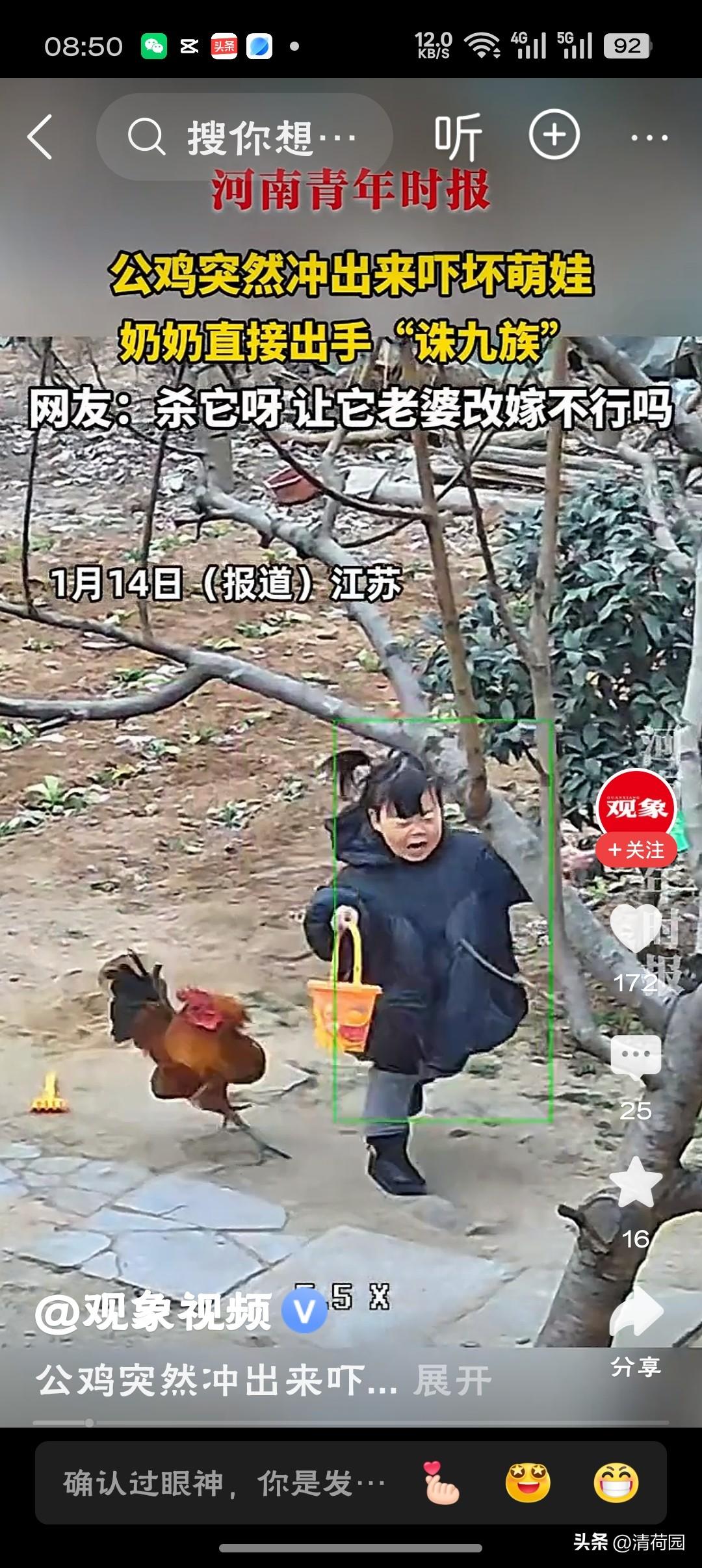 奶奶出手“诛九族”一只公鸡引发的“血案”：隔代教育的爱与痛，谁在“诛九族”？
近