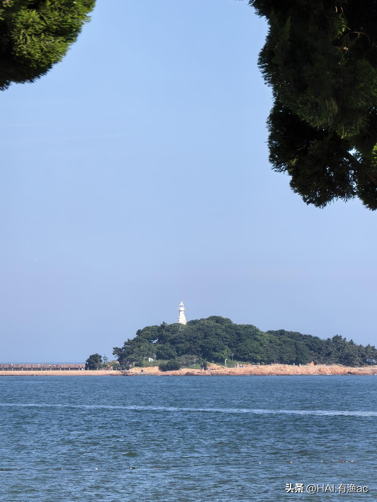 中国能源转型成功及其带来的强大经济韧性，具体表现在哪些方面。

一、 能源供给结