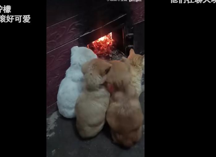 注：图源网络，侵删