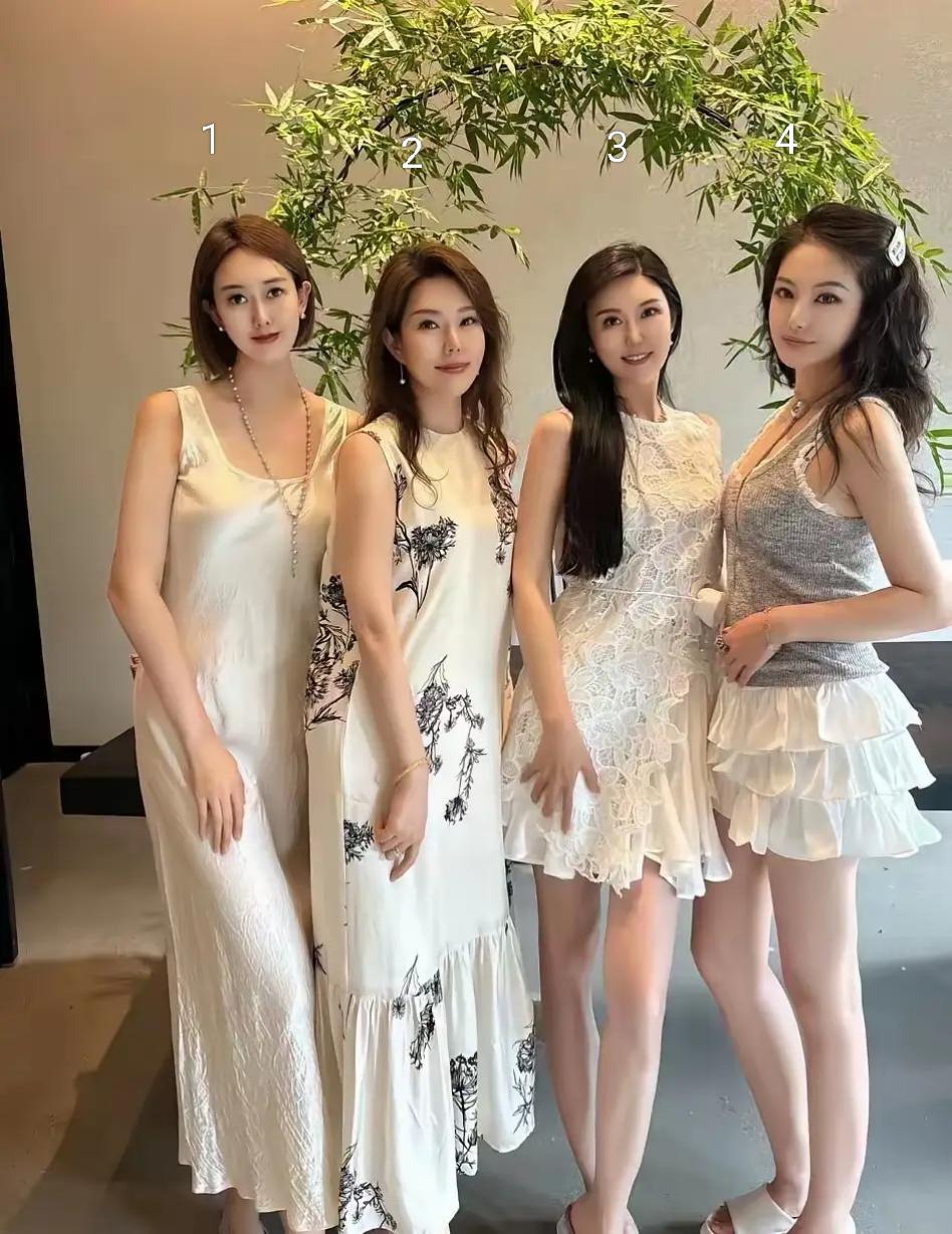 美的各有千秋的四位美女，美丽如花的她们都不要彩礼，选一个做老婆，我不选1号，没站