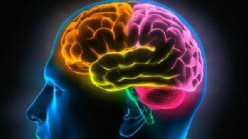 当你突然觉得眼前的场景似曾相识，似乎曾经见过一样，可能是大脑在进行一次“时序校准