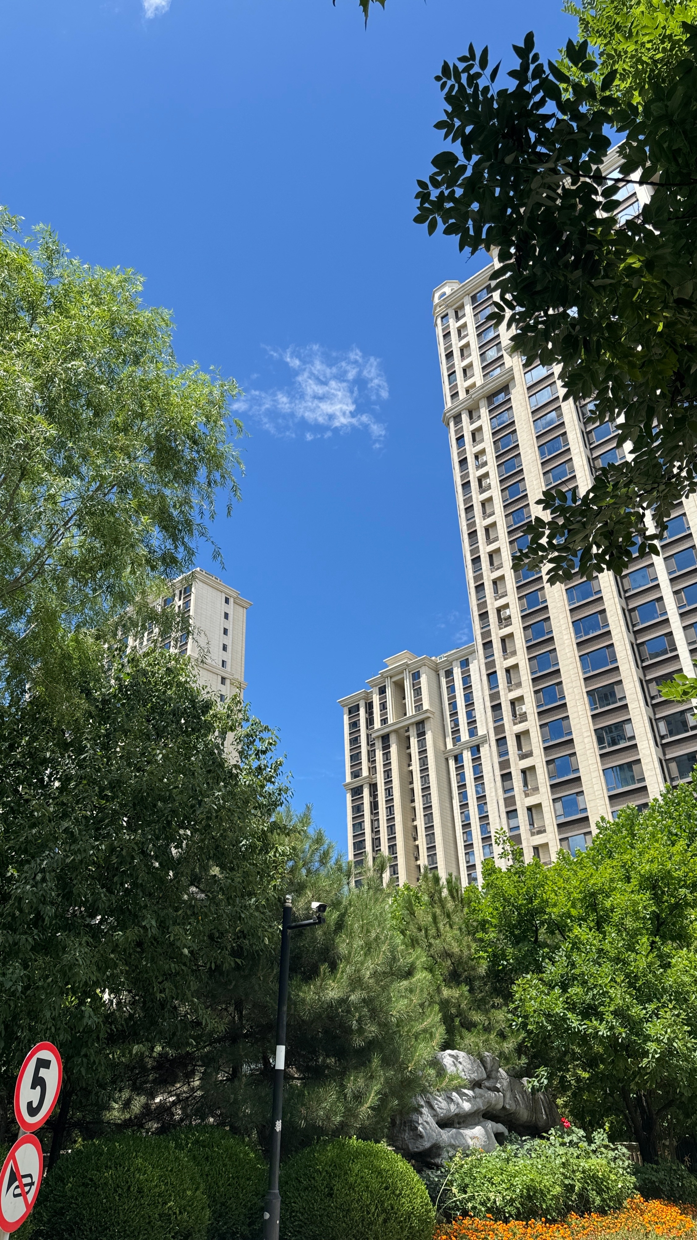 catalyze兰的小伙伴们 天气又转好了