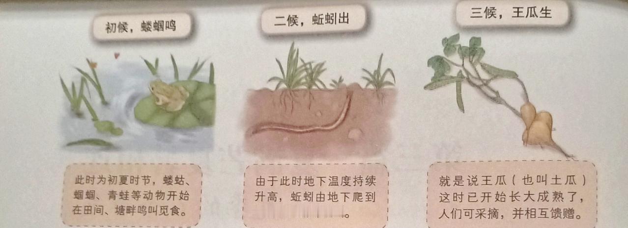 今日立夏，二十四节气中第七个节气，从这个节气开始，大自然进入夏天。

夏为长赢。