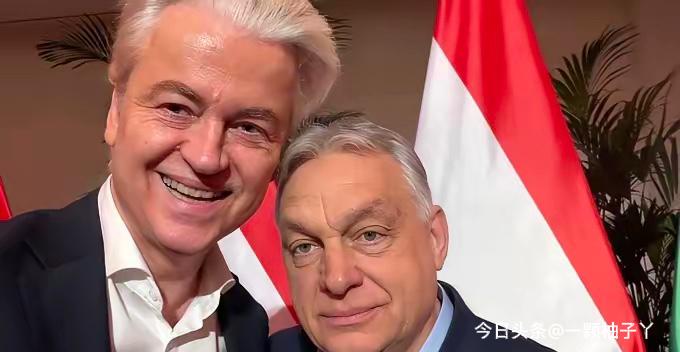 法国极右翼政党国民联盟（原国民阵线）在近期的地方市镇选举中收获不小，拿下了多个城