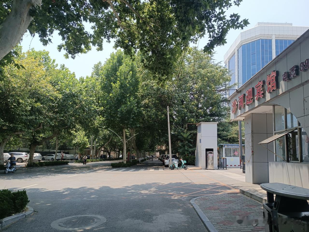 炎炎夏日，热气蒸腾，走过浓荫蔽日的这条街，却有习习凉风吹过……
​这就是被沙河市