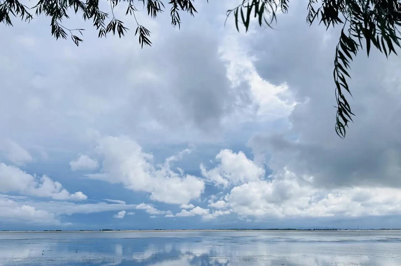 《夏云》
朝晴暮雨逢，倦卧任西东。
影落千山外，身消一望中。
孤高非有意，来去本