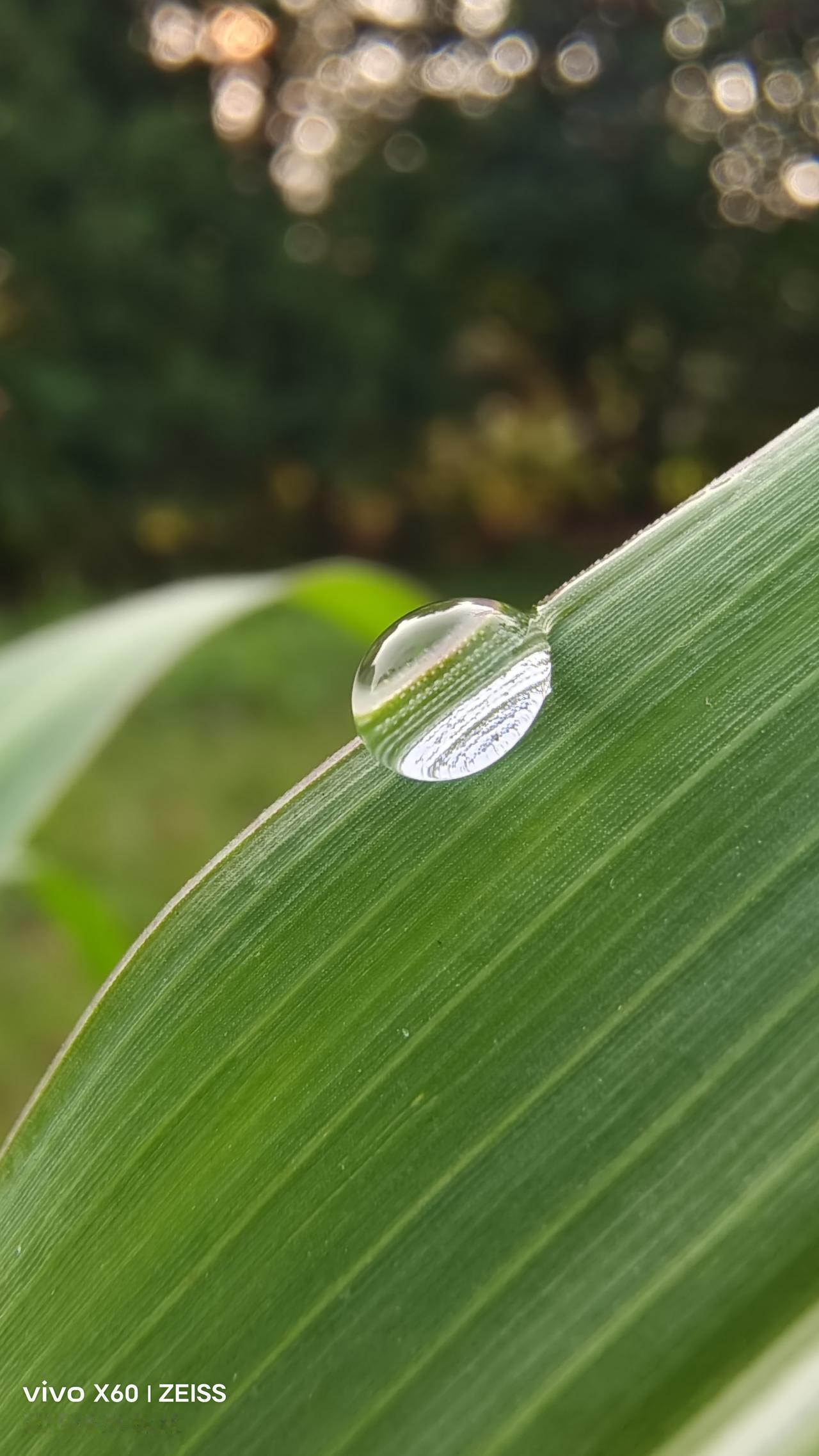 最近是梅雨季节，一直小雨连绵不断，大小雨结合，细雨霏霏，感觉到湿气特别大，晒的衣