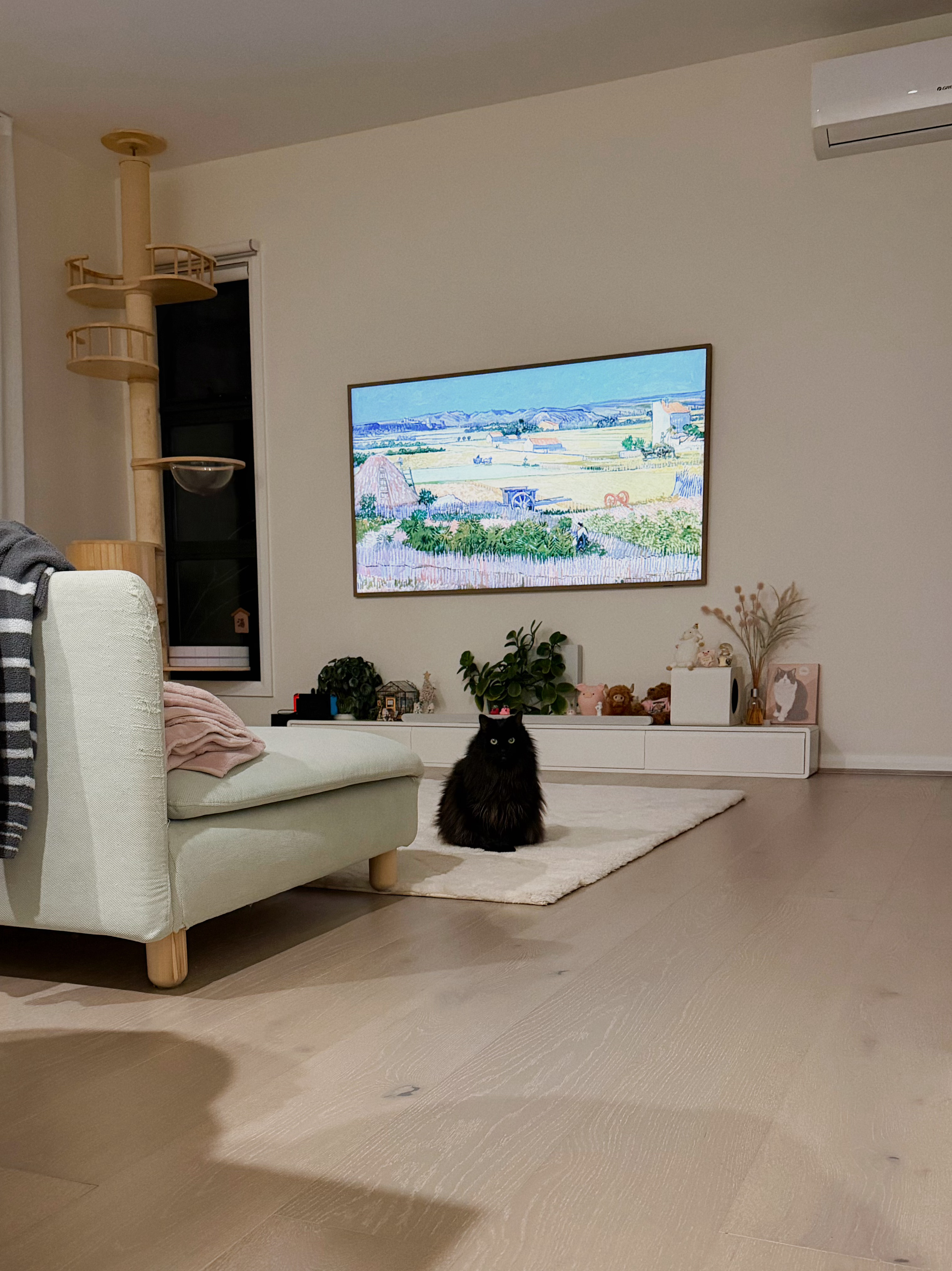 刚睡醒的懵懵小猫 