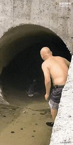 今天老公钓鱼还真钓上来一条，看着这鱼傻乎乎的，这么容易就被抓到，我在想这要是吃了