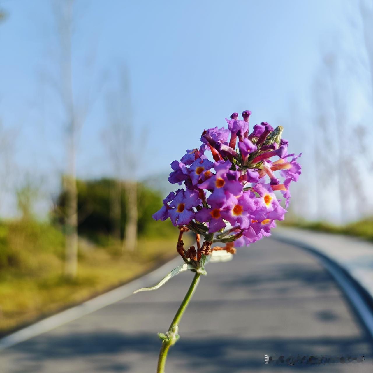 四十岁如果还没有赚到钱，没有存到钱，活该你穷，是的，这句话我也不反驳。

因为赚