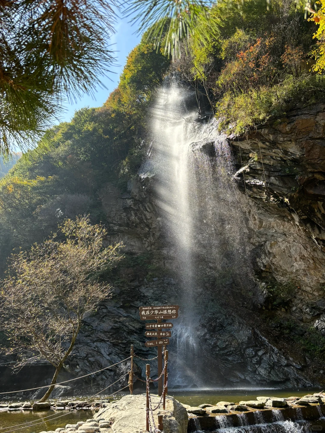 🍁西安出发一小时，西安人自己的香山！