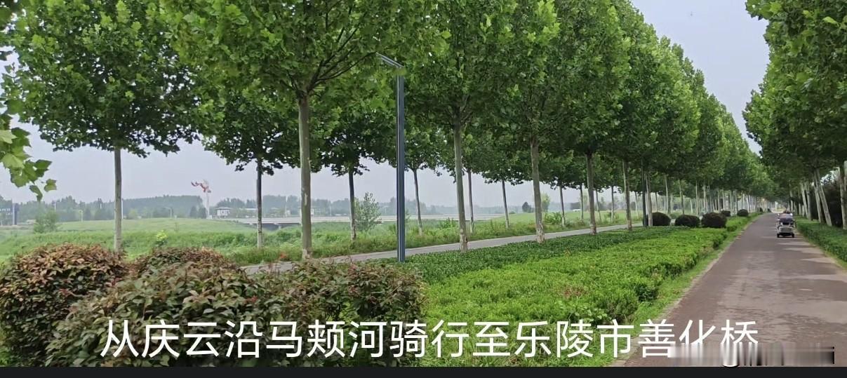 山东乐陵善化桥的前世今生。
      善化桥坐落于乐陵城南马颊河之上（古河道记