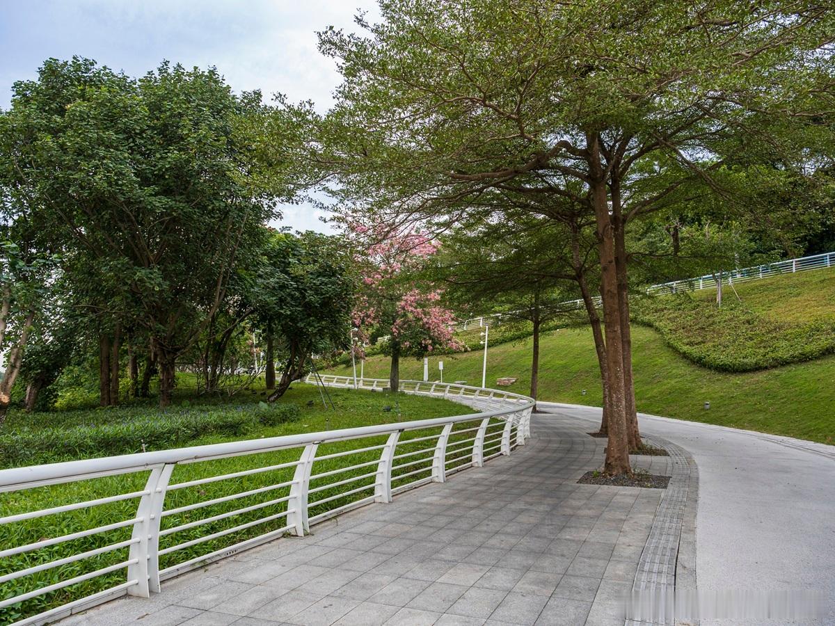 产品短缺时代，产品的使用价值占据消费权的核心地位；产品饱和时代，产品质量及文化影