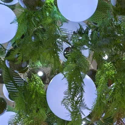 我们不必非要活成别人眼中的风景，只需做一株在角落里自在开合的小花。花香虽淡，却足