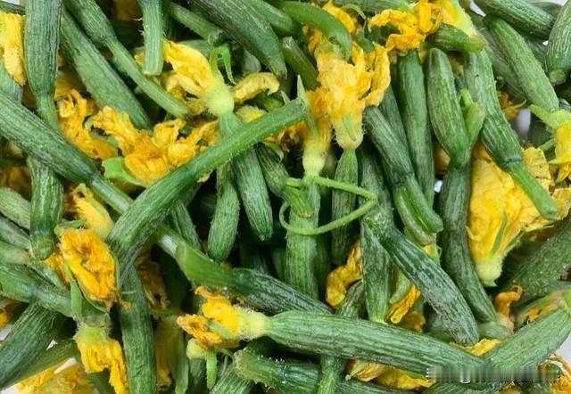秋天吃一花，中药不用抓！这不起眼的黄瓜花，解燥又下饭

秋天一到，不少人就犯愁：