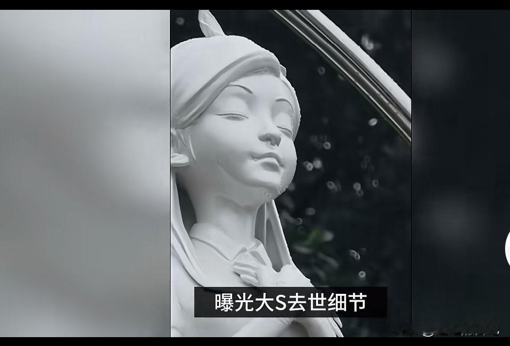 原来大s真正死因是因为她执意要回台北治病，在去机场的路上，心脏骤停。家人又赶紧给