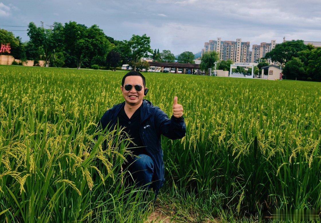 作为助农先行官，我习惯用脚丈量土地，用手触摸稻穗——因为真正的助农，不是坐在办公