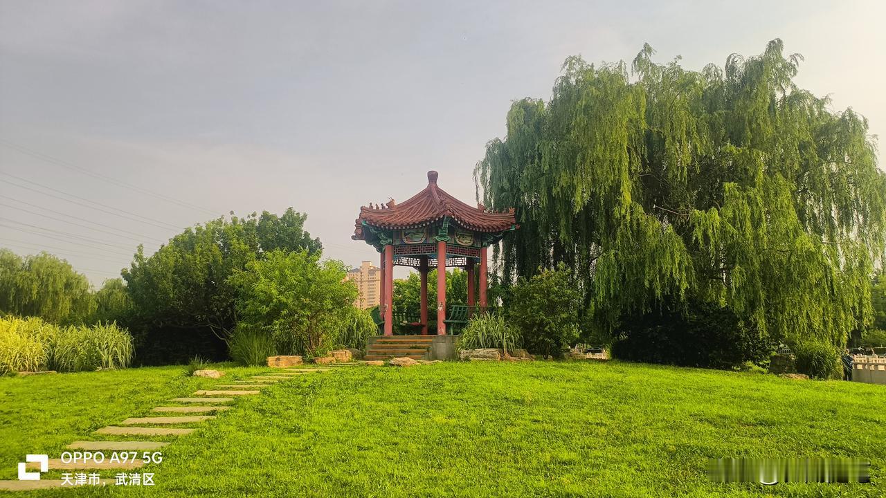 小区绿化塞江南
