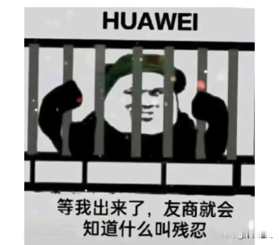 华子新款小折叠应该是在二月中下旬更新，有一说一，这个节奏对友商来说有点残忍啊，2