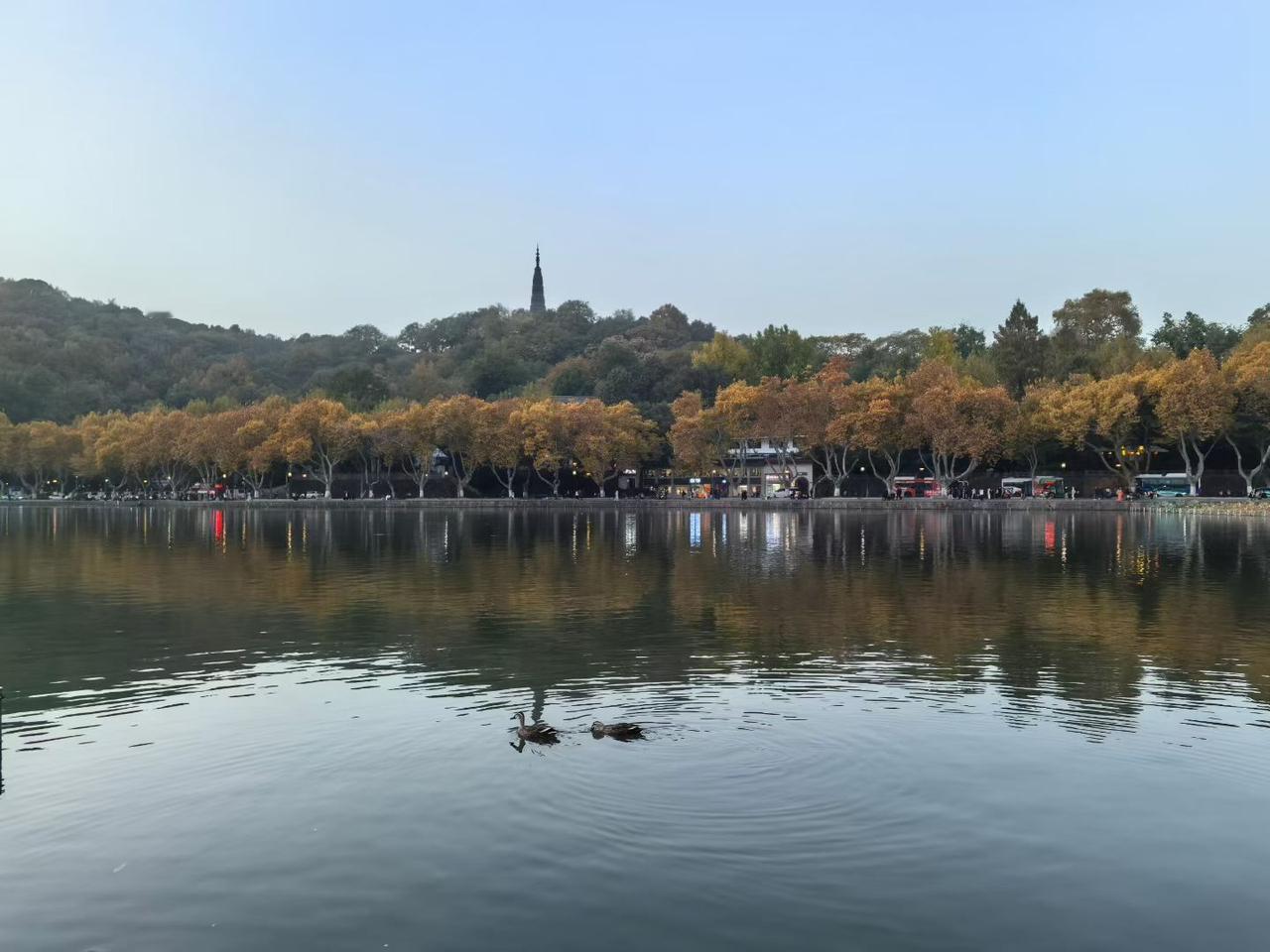 永远不要尝试原谅故意伤害你的人，
即使事情已经过去，
即使他们通过各种方式向你示