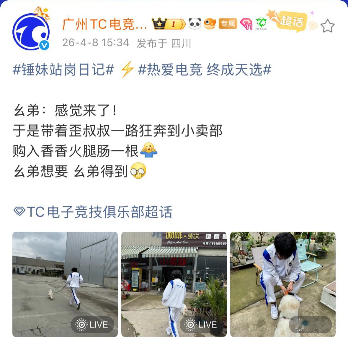 TC电子竞技俱乐部  是队宠幺弟！2026pel春季赛2026pel