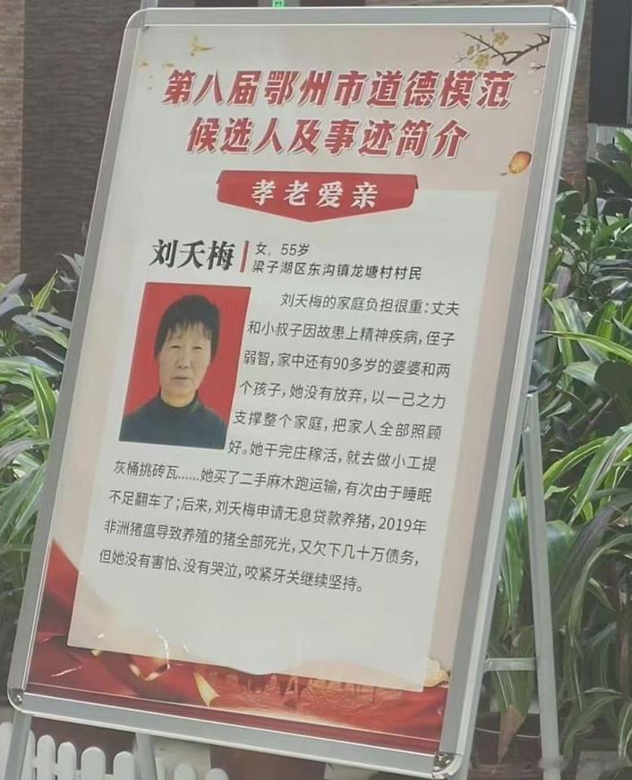 太难了 ​​​