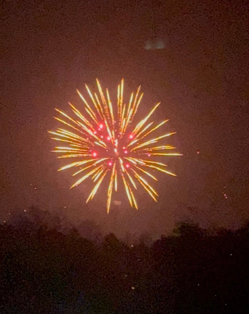 穆祉丞高会分享烟花🎆落叶归根 穆祉丞高会 落叶归根