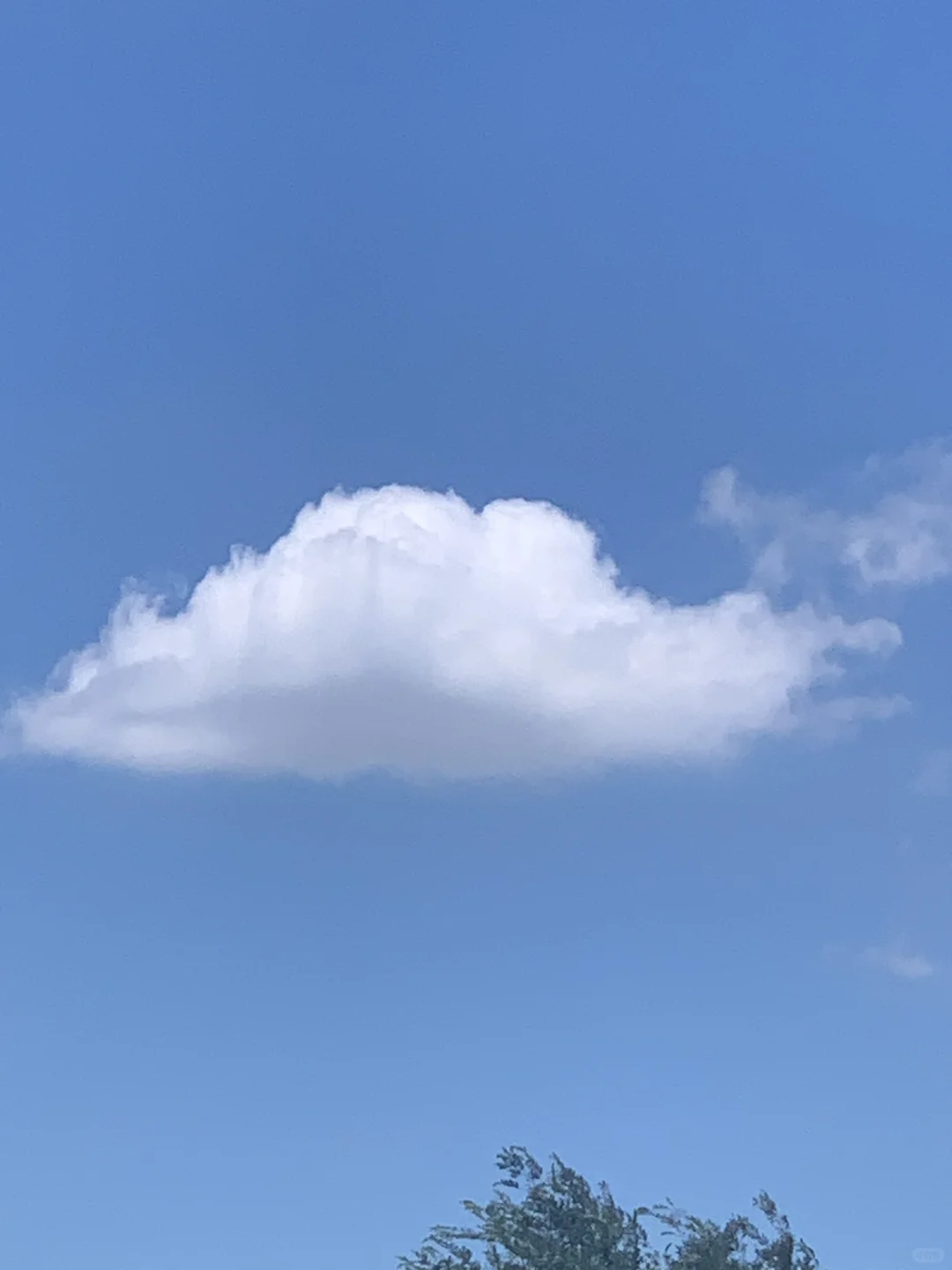 一朵云☁️