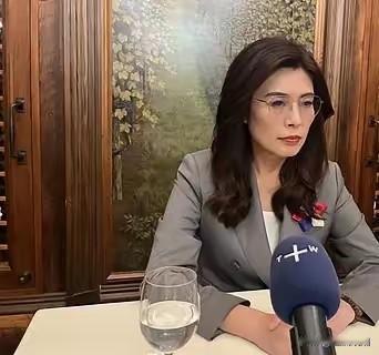 揭秘郑丽文“欧盟模式”的实质…
 
一、表面说辞
 
她以欧洲从煤钢共同体逐步融