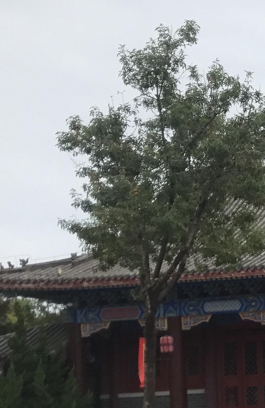 上联：“云绕峰峦松隐寺”，这个上联画面感十足，云雾缠着重叠的山峰，苍松半遮半掩把