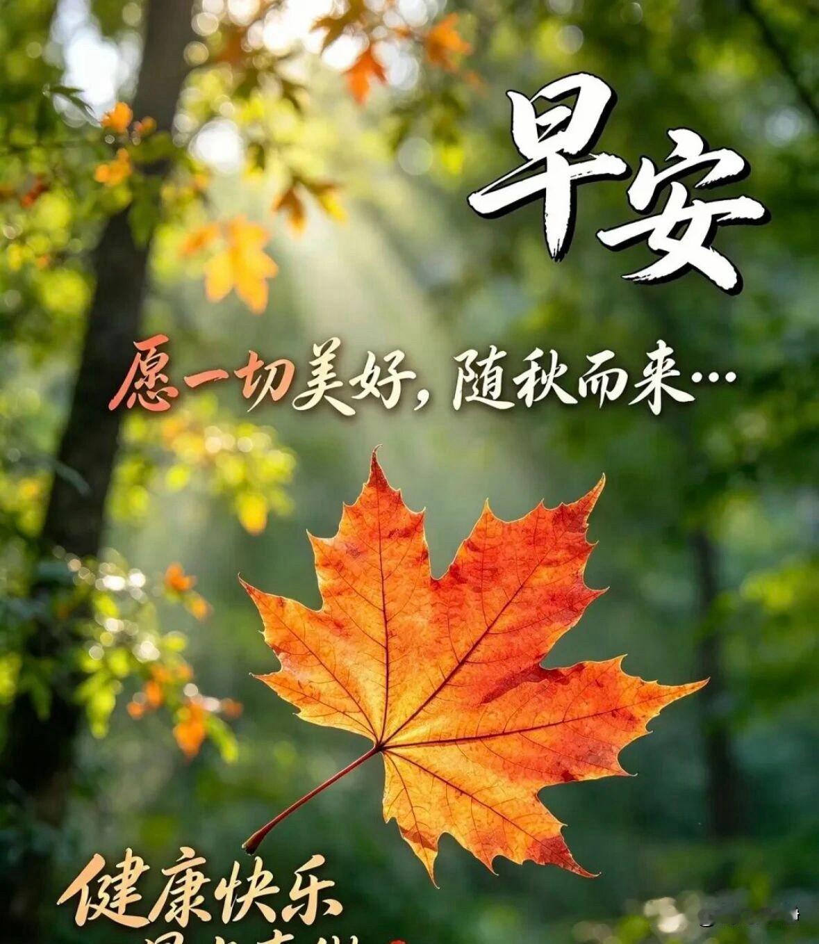 🍂²⁰²⁶/₁₀.₀₇ ᵕ̈ 假日第七天🌞🍒🍑🐎
🍃𝐆𝐨𝐨𝐝