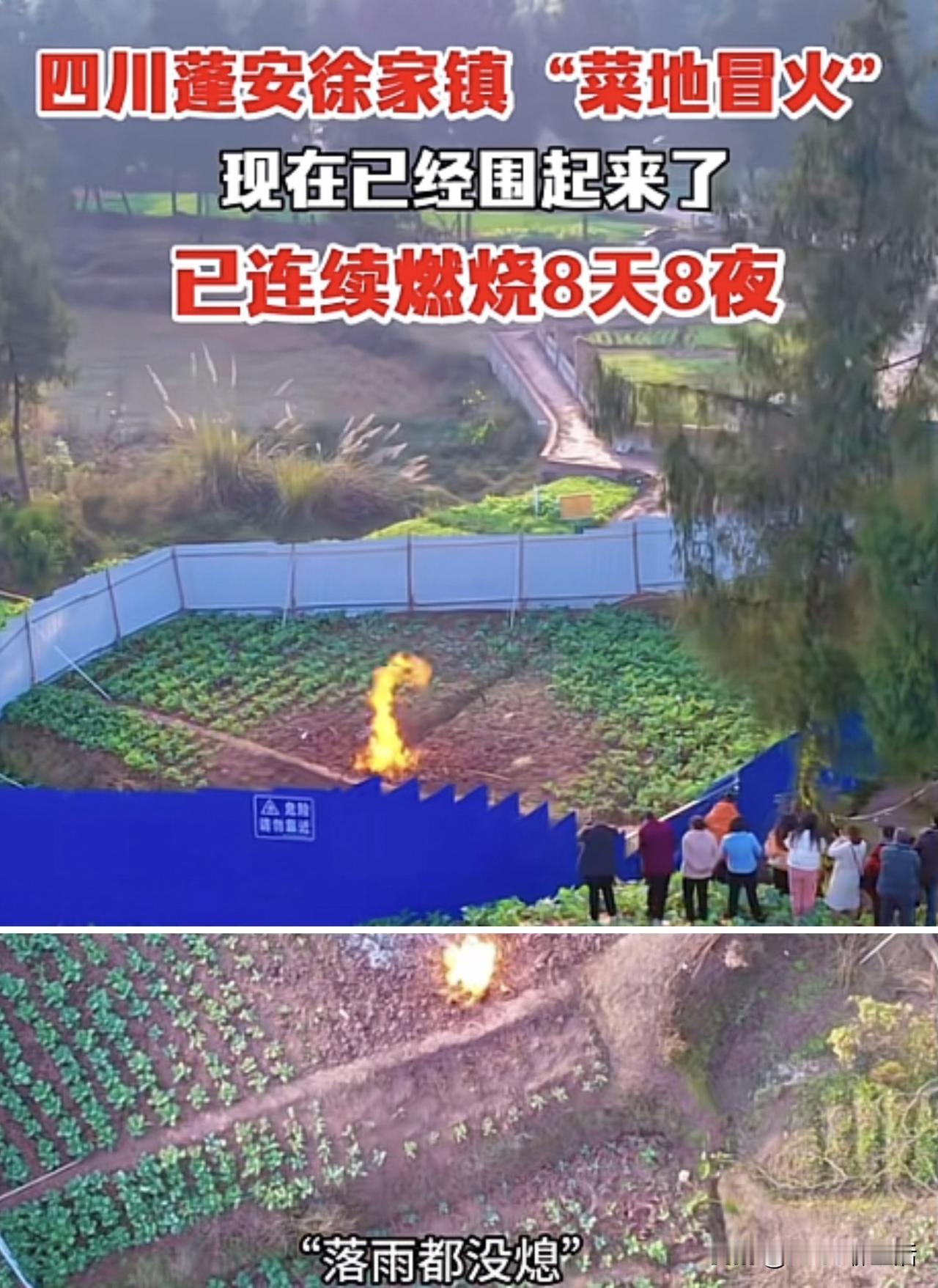 太不可思议了！
四川蓬安徐家镇的这块菜地太神奇了！平地冒火连烧8天8夜，下雨了也