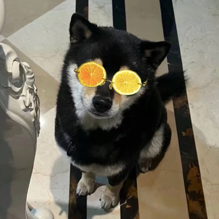 六斤也来参与 ​​​